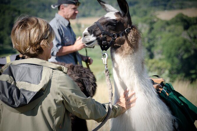 Llama Hike and Farm Tour - Who Will Enjoy This Tour?