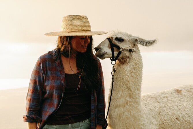 Llama Sunset Hike - Who Will Love This Experience?
