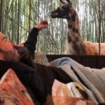 Llama Yoga - In-Depth Review of Llama Yoga in Atlanta