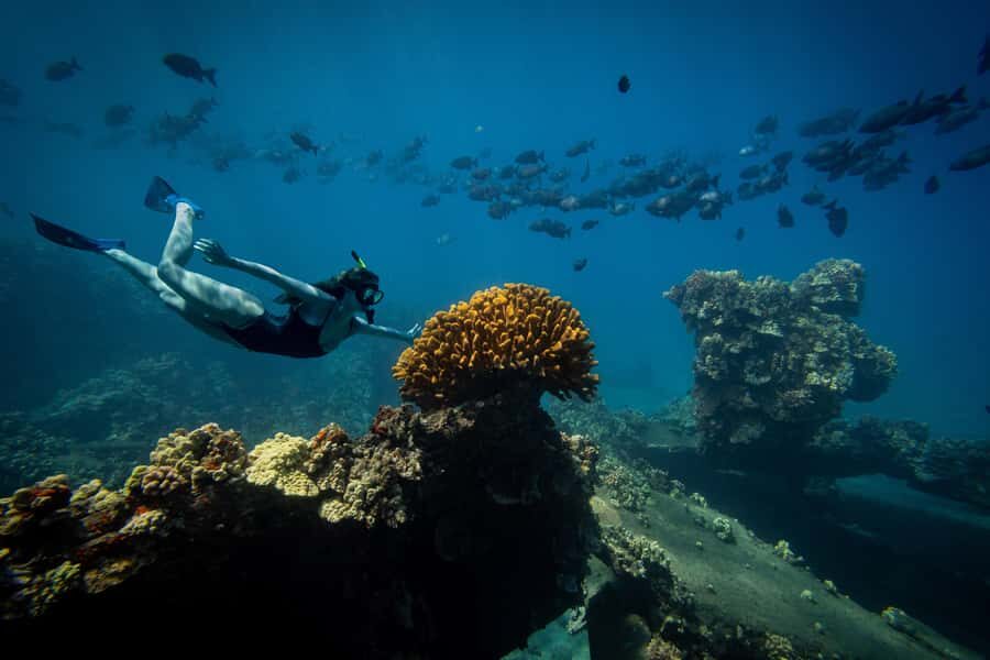 Lna'i Coast Snorkel & Sail from Lahaina - A Deep Dive into the Maui Snorkel & Sail Experience