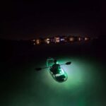 Longboat Key Clear Kayak LED Illuminated Night Tour Sarasota - Detailed Review of the Longboat Key LED Night Kayak Tour