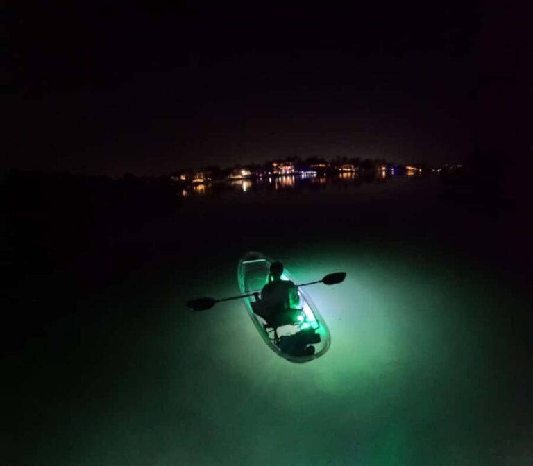 Longboat Key Clear Kayak LED Illuminated Night Tour Sarasota - Detailed Review of the Longboat Key LED Night Kayak Tour