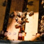 Los Angeles Photo Tour with a Private Photographer - Why This Tour Offers Good Value