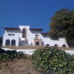 Los Angeles: Private Hollywood Scandals and Crime Tour - Practical Details and Value