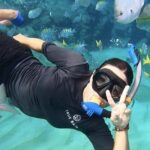Los Cabos: Guided Snorkeling Tour with Transportation - Practical Tips to Make the Most of Your Experience