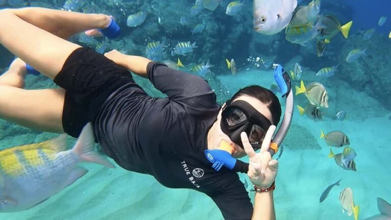 Los Cabos: Guided Snorkeling Tour with Transportation - Practical Tips to Make the Most of Your Experience