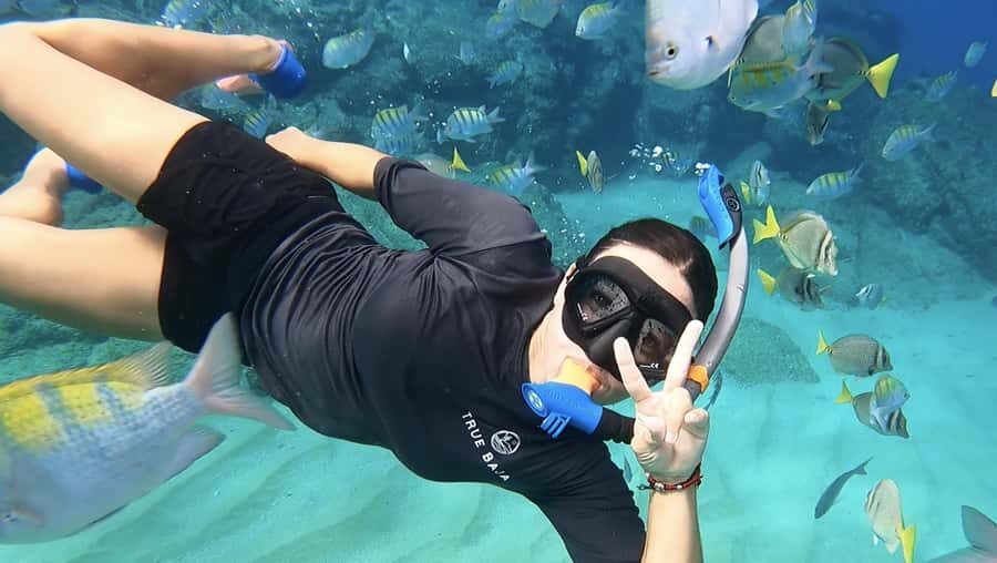 Los Cabos: Guided Snorkeling Tour with Transportation - Practical Tips to Make the Most of Your Experience