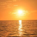 Los Cabos Private Catamaran Sunset Cruise with Snacks & Open Bar - Who Should Book This Tour?