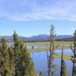Lower Loop Yellowstone Wildlife Scenic - Jackson Hole Day Tour | WY - Final Thoughts: Is This Tour Right for You?