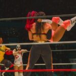 Lucha Libre Night Tour - A Closer Look at the Lucha Libre Night Tour