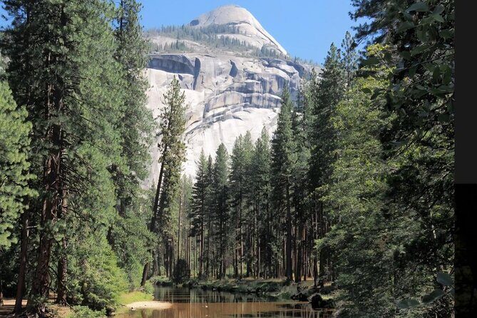 Luxury Coach Tour of Yosemite National Park - Authentic Experiences and Commentary from Past Travelers
