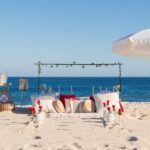 Luxury oceanfront picnic in Los Cabos - Exploring the Details of a Los Cabos Oceanfront Picnic