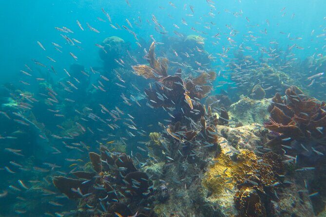 Luxury Sandbar and Snorkeling trip in Key West - Why This Trip Stands Out