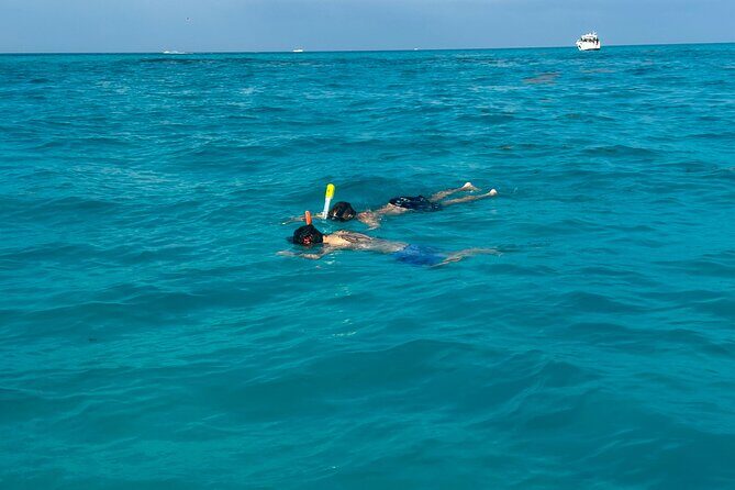 Luxury Snorkeling Excursion in Cancun MasterCraft X-Star 2hr - Why This Tour Offers Good Value