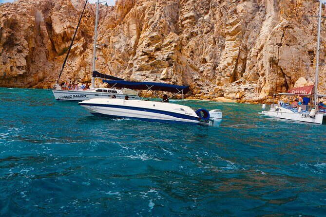Luxury yacht Whale watching Cabo San Lucas - The Highlights of the Tour