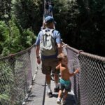 Lynn Canyon Nature Tour Hike, Swim, and Explore with a Local - The Lynn Canyon Suspension Bridge: A Shortcut to Wonder