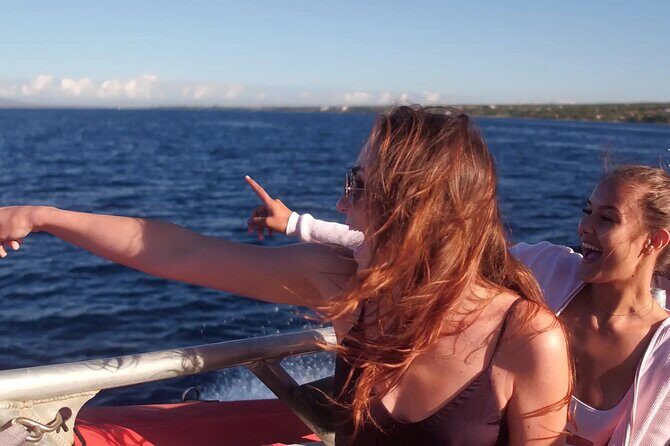 Maalaea Whale Watching Activity Visit - A Close Look at the Maalaea Whale Watching Tour