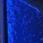 Madeira Beach Sunset Cruise Family Fun on Clean Boat - A Thorough Look at the Madeira Beach Sunset Cruise Experience