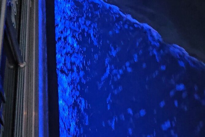 Madeira Beach Sunset Cruise Family Fun on Clean Boat - A Thorough Look at the Madeira Beach Sunset Cruise Experience