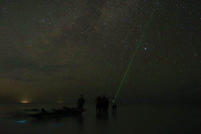 Magic Night of Stargazing and Bioluminescence - Who Will Love This Tour?