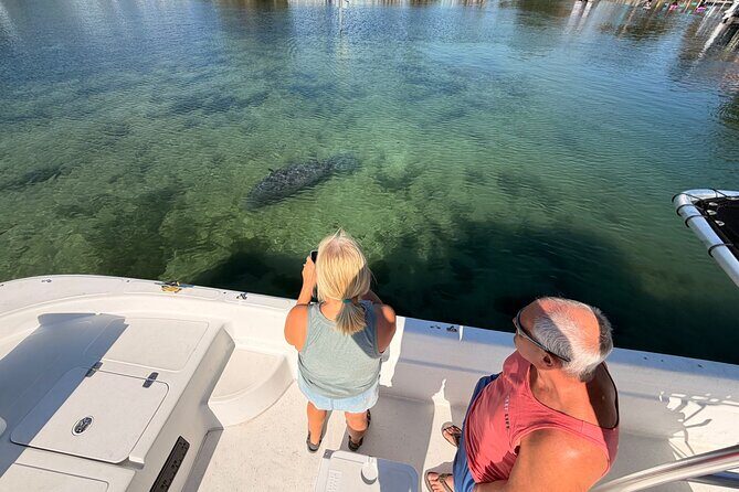 Manatee and Wildlife Boat Tour - Final Thoughts