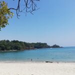 Manuel Antonio National Park Tour From San Jose. - Possible Drawbacks or Considerations