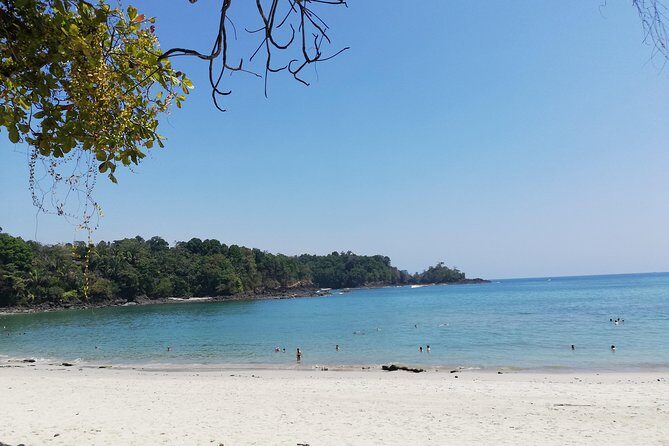Manuel Antonio National Park Tour From San Jose. - Possible Drawbacks or Considerations