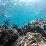 Marietas Islands: snorkeling safari with local guide - Practical Details and Tips