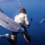 Marine Wildlife Snorkel Tour: SeaTiger Shipwreck & Sharks - The Detailed Itinerary