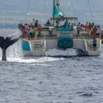 Maui: Ka'anapali Whale Watching Cruise on Luxury Sailboat - FAQ