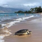 Maui Mini Retreat - Who Would Love the Maui Mini Retreat?
