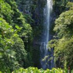 Maui Private Tour - Road to Hana Adventure - Just for Your Group - FAQ