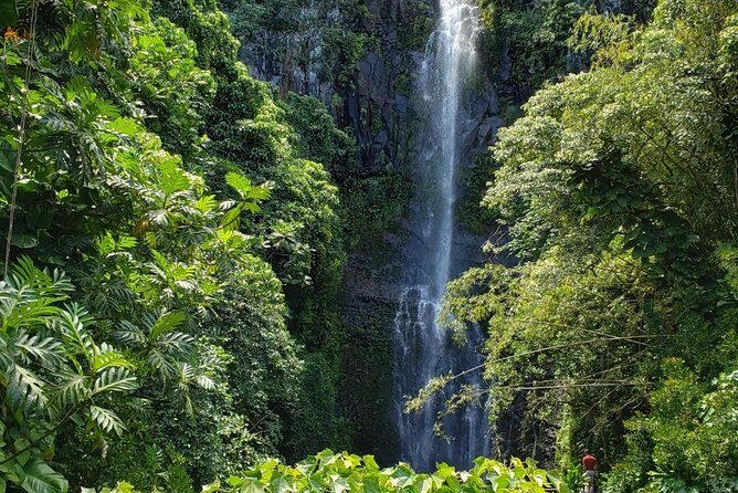Maui Private Tour - Road to Hana Adventure - Just for Your Group - FAQ