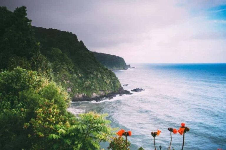 Maui: Road to Hana Tour with Lunch - Practical Details and Tips for Travelers