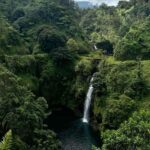 Maui Sea Turtles & Waterfalls: Full-Day Road to Hana Tour - The Sum Up
