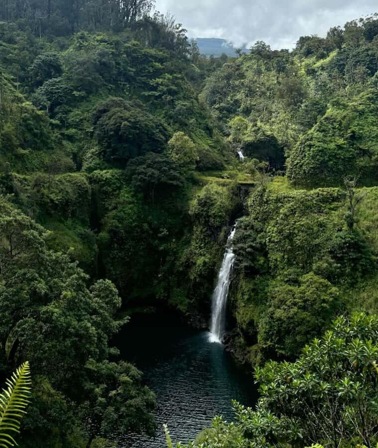 Maui Sea Turtles & Waterfalls: Full-Day Road to Hana Tour - The Sum Up