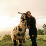 Maui: Sunset Llama Trek on Haleakala - The Itinerary in Detail