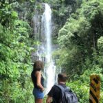 Maui Tour : Road to Hana Day Trip from Kahului Lunch, Water, Chip - Who Will Love This Tour?