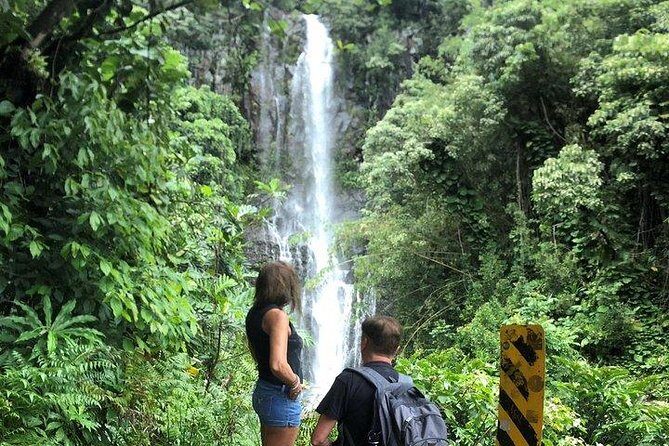 Maui Tour : Road to Hana Day Trip from Kahului Lunch, Water, Chip - Who Will Love This Tour?