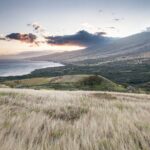 Maui Upcountry Drive, Haleakala NP & Ocean Vodka Distillery Tour - Final Thoughts