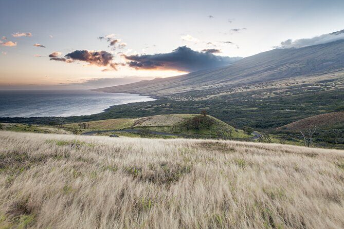 Maui Upcountry Drive, Haleakala NP & Ocean Vodka Distillery Tour - Final Thoughts