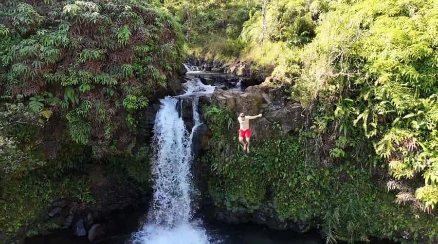Maui's Sea Turtle & Waterfalls: Taste of Hana Guided Tour - Discovering the Heart of Maui: An Authentic Small-Group Tour