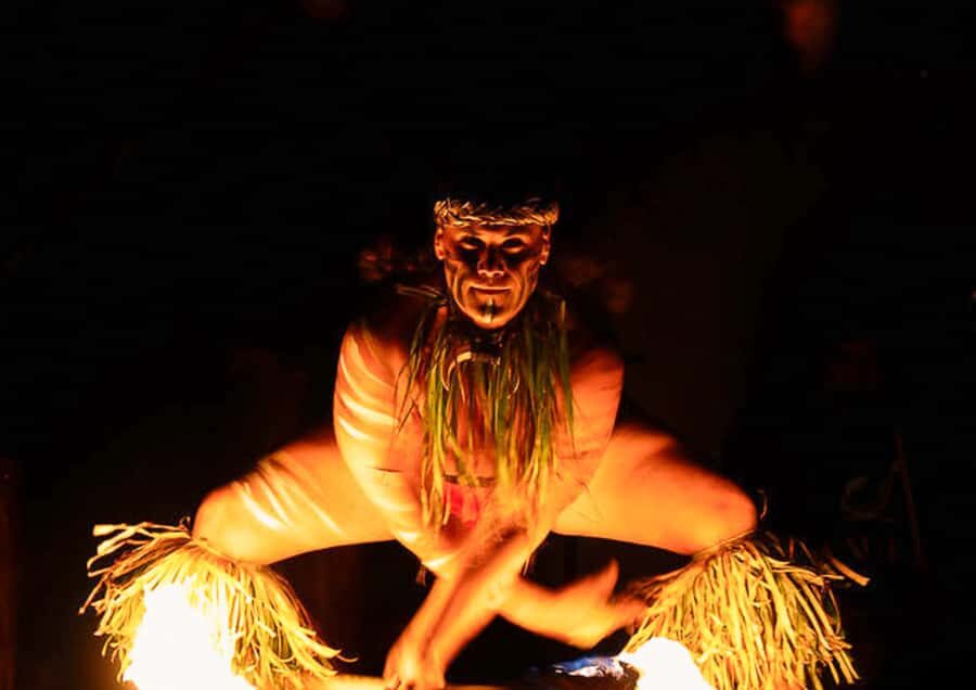 Mauka Warriors Luau Experience with Dole & Rum Tasting Tour - Who Will Love This Tour?