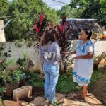 Mayas of Yesterday & Today: Tekit + Mayapan - Final thoughts