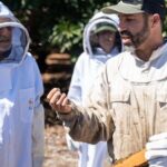 Meet the Bees Guided Apiary Tour and Honey Tasting - Why This Tour Excels