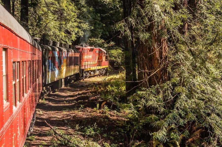 Mendocino County: Skunk Train Pudding Creek Train Ride - An In-Depth Look at the Skunk Train Experience