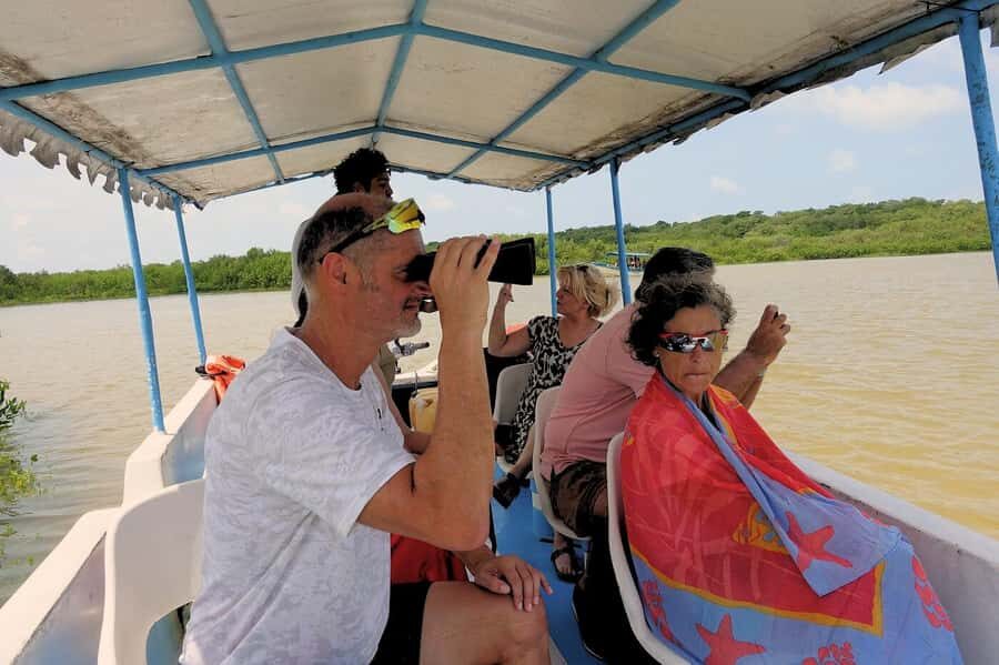 Mérida: Celestun Mangrove Boat Tour with Lunch - A Closer Look at the Tour Experience