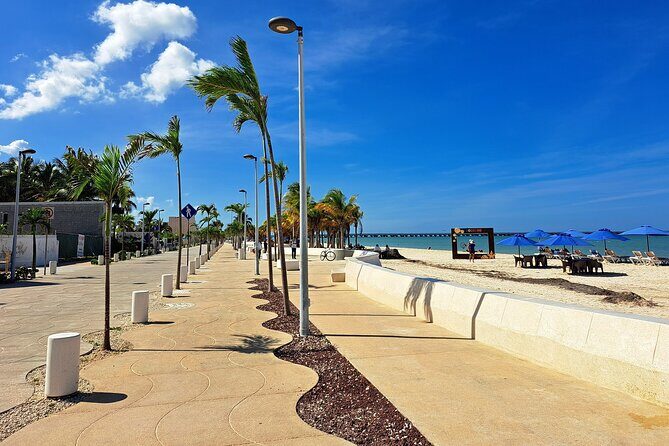 Merida Shuttle to Puerto Progreso with Free Time - Who Will Love This Experience?