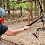 Merida : Uxmal, Chocolate Museum and Cenote with lunch and pick up - Discovering Cacao at the Choco-Story Museum
