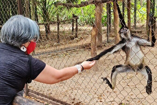 Merida : Uxmal, Chocolate Museum and Cenote with lunch and pick up - Discovering Cacao at the Choco-Story Museum